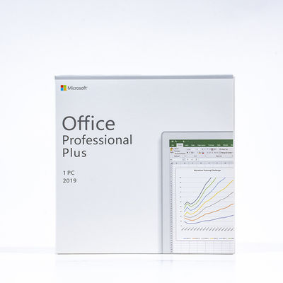 Echter Fachmann Microsoft Offices 2019 plus Bits DVD 64